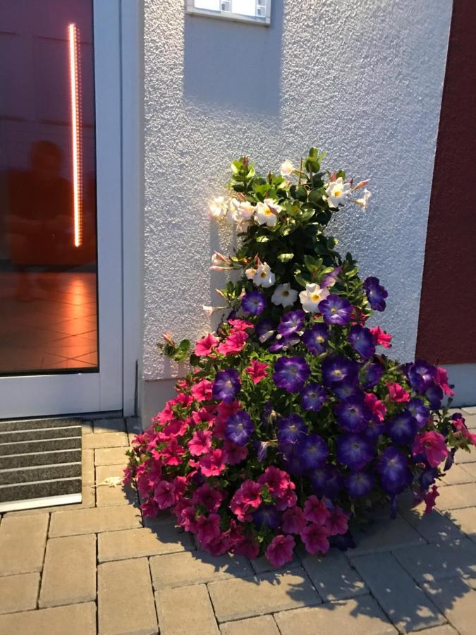 Ferienwohnungen Am Feldrain - Gornau Im Erzgebirge Zschopau Exterior photo